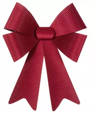 1 N�UD VELOURS COTELE MAXI BORDEAUX