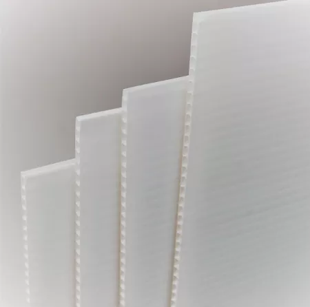 1 Plaque polypropyl&egrave;ne alv&eacute;olaire - 800 x 1200 mm