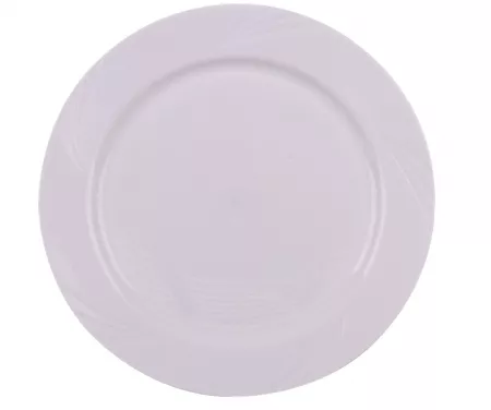 10 ASSIETTES PICNIK 22CM / ISV61220BL