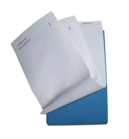 10 Blocs Ma&icirc;tre d\'hotel TRIPLI 80x150mm / 1972