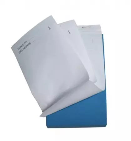 10 Blocs Ma&icirc;tre d\'hotel TRIPLI 95x150mm / 1992