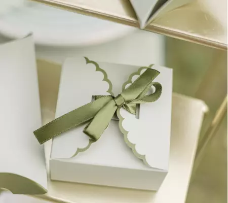 10 CONTENANTS BI COLOR