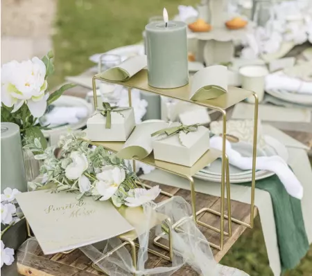 10 CONTENANTS BI COLOR