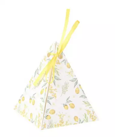 10 CONTENANTS MIMOSA