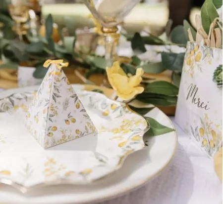 10 CONTENANTS MIMOSA