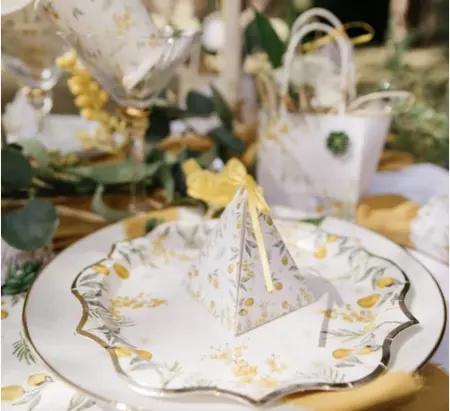 10 CONTENANTS MIMOSA