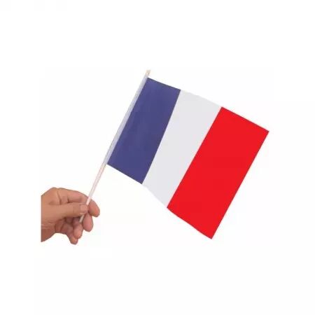10 drapeaux france 15x20cm