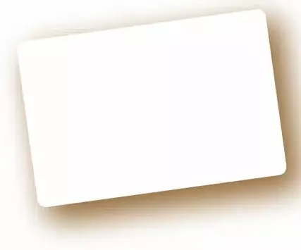 10 Etiquettes 6x8 Blanche / 5318