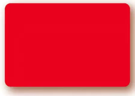 10 Etiquettes 6x8cm fluo ROUGE / 023101