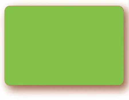 10 Etiquettes 6x8cm fluo VERT / 023102