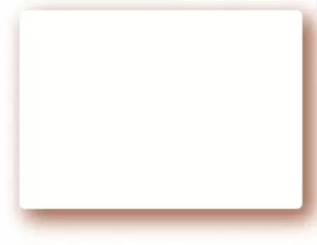 10 Etiquettes 7x10 Blanche / 5319