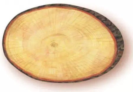 10 Etiquettes Rondin 7x4.5cm / 9728