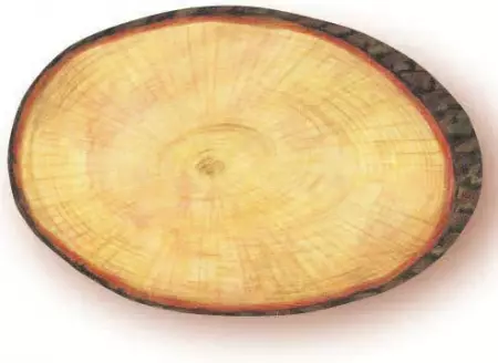 10 Etiquettes Rondin 9.5x6cm / 9729