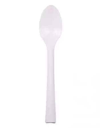 10 GRANDE CUILLERE PP BLANCHE PICNIK INCASSABLE 18 CM
