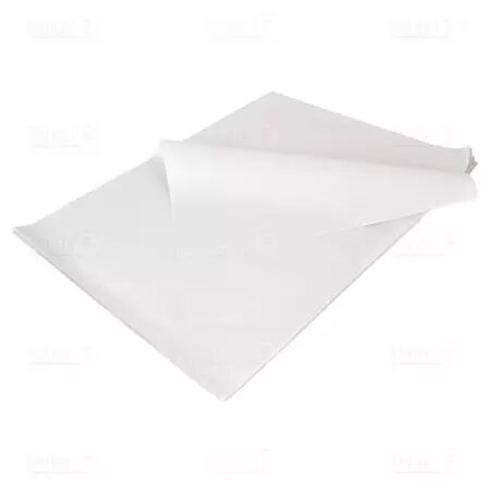 10 Kg Papier ingraissable format 65x100 / INGB65100