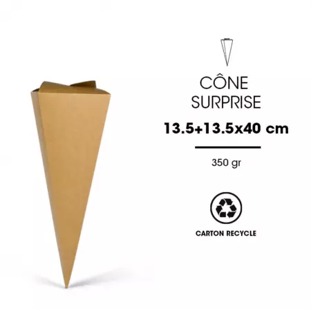 10 POCHETTES SURPRISE CARTON 350G - 13,5+13,5x40cm - 10/100