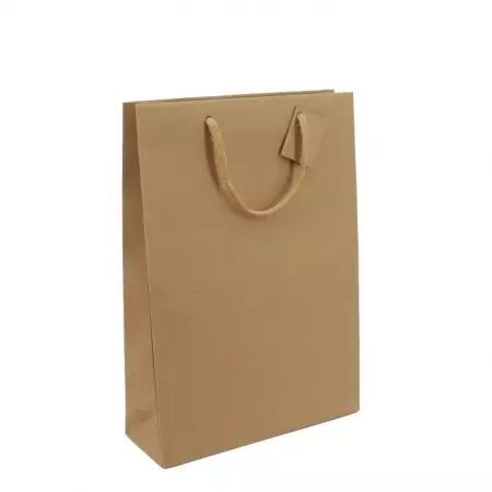 10 Sacs 3 Bouteilles Kraft brun 270+90x380 / 22005