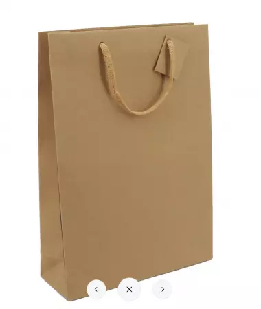 100 Sacs 3 Bouteilles Kraft brun 270+90x380 / 22005