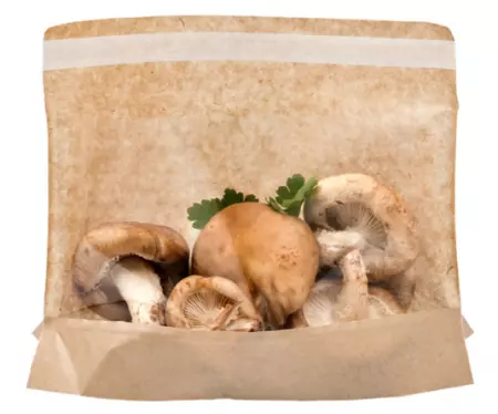 100 Sacs Kangoo &agrave; Fenetre 21x16/12x3cm