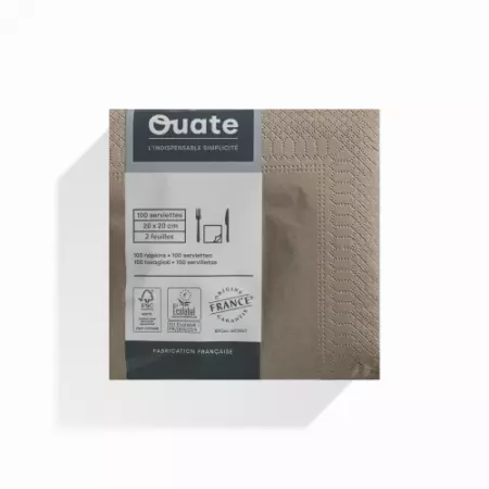 100 Serviettes 2 plis 20x20 ARGILE