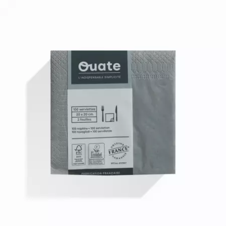 100 Serviettes 2 plis 20x20 BETON