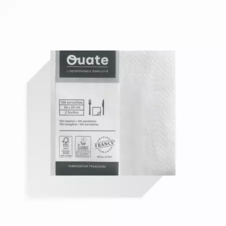100 Serviettes 2 plis 20x20 BLANC