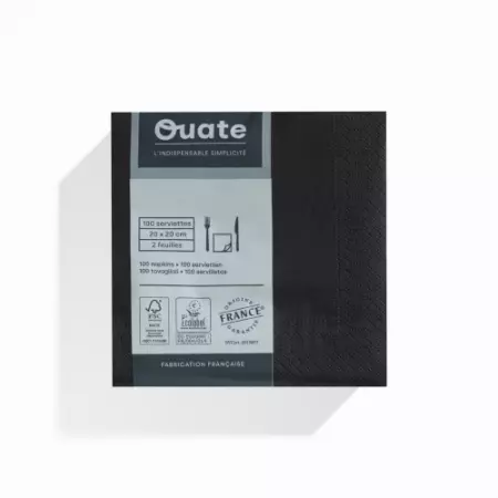 100 Serviettes 2 plis 20x20 EBENE