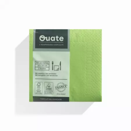 100 Serviettes 2 plis 20x20 PISTACHE