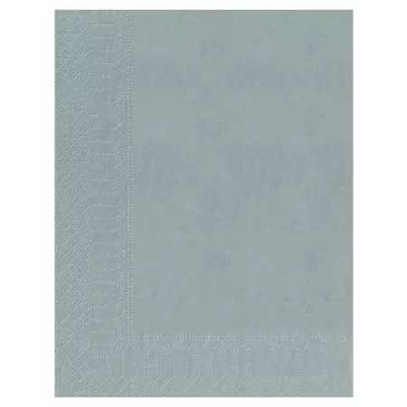 100 Serviettes Ouate 2 plis 30x39 BETON