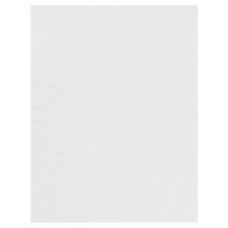 100 Serviettes Ouate 2 plis 30x39 BLANC