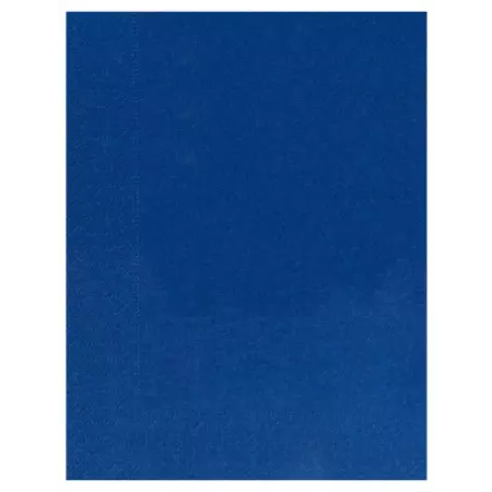 100 Serviettes Ouate 2 plis 30x39 BLEU MARINE