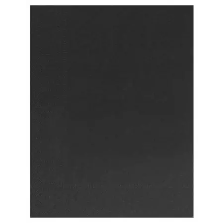 100 Serviettes Ouate 2 plis 30x39 EBENE