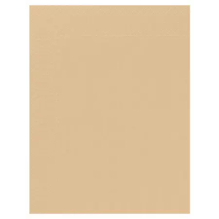 100 Serviettes Ouate 2 plis 30x39 VANILLE