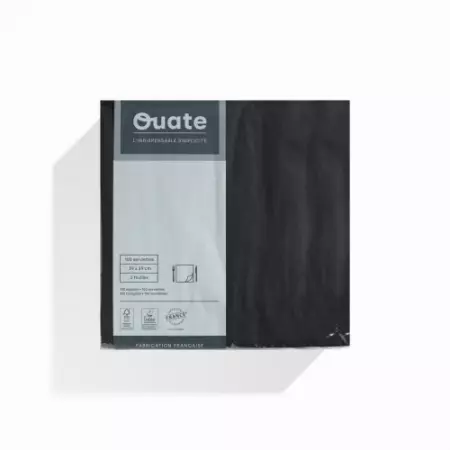 100 Serviettes Ouate 2 plis 39x39 EBENE
