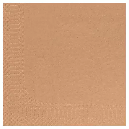 100 Serviettes Ouate 39x39 2 Plis KRAFT