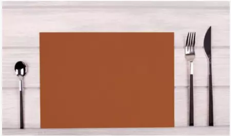 100 SETS DE TABLE TERRACOTTA 30X40 