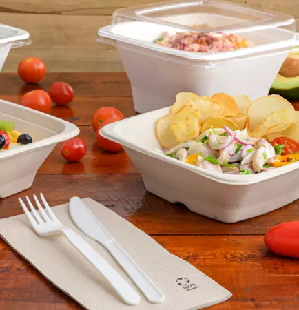 1000 Couteaux 18cm Biod&eacute;gradable Compostable CPLA