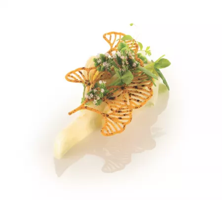 14 FEUILLES DE GINKGO