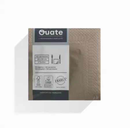 1800 Serviettes 2 plis 20x20 ARGILE / CG191490