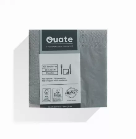 1800 Serviettes 2 plis 20x20 BETON / CG191849