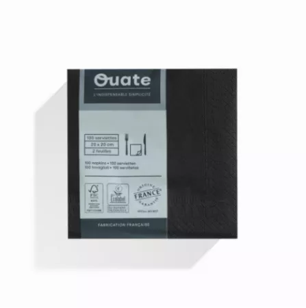 1800 Serviettes 2 plis 20x20 EBENE / CG191990