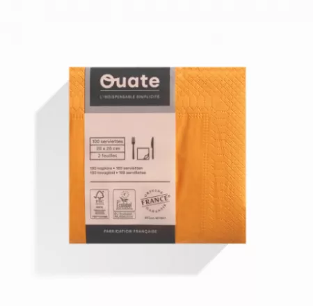 1800 Serviettes 2 plis 20x20 MANDARINE / CG190054