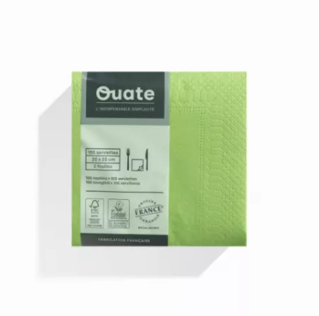 1800 Serviettes 2 plis 20x20 PISTACHE / CG191800