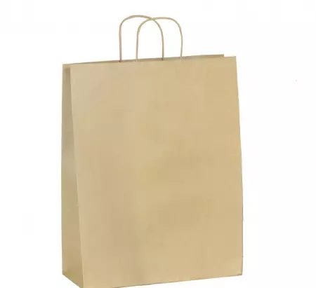 200 Sacs Kraft BRUN PF 45+17x48 / 21043