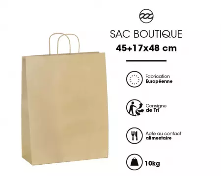 200 Sacs Kraft BRUN PF 45+17x48 / 21043