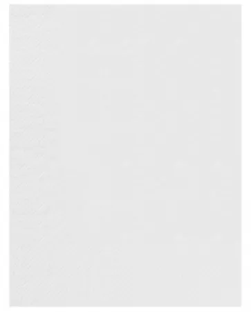 2400 Serviettes Ouate 2 plis 30x39 BLANC