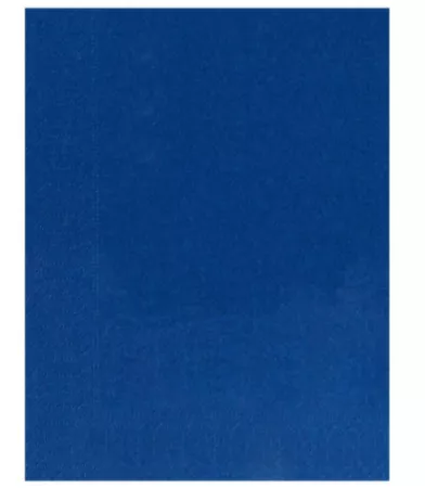 2400 Serviettes Ouate 2 plis 30x39 BLEU MARINE
