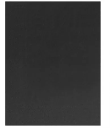 2400 Serviettes Ouate 2 plis 30x39 EBENE