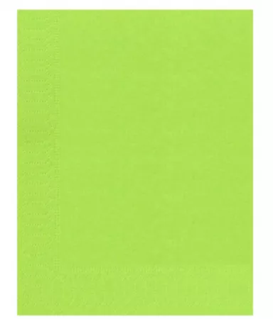 2400 Serviettes Ouate 2 plis 30x39 PISTACHE