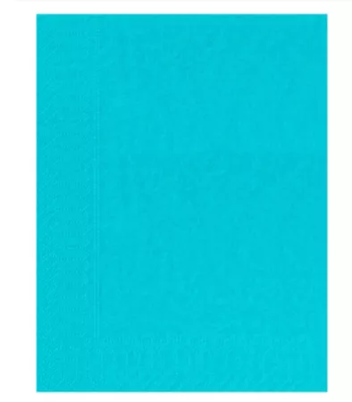 2400 Serviettes Ouate 2 plis 30x39 TURQUOISE
